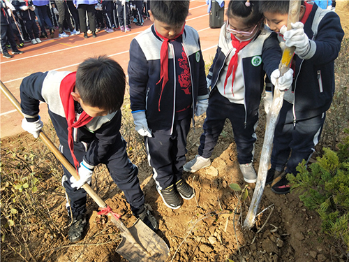 樹恩小學(xué)生參加植樹活動